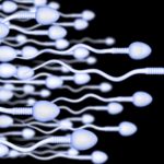 Secret for Better Sperm Count_ Unlocking the Keys to Male Fertility