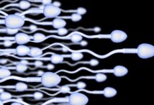 Secret for Better Sperm Count_ Unlocking the Keys to Male Fertility