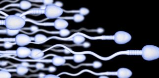 Secret for Better Sperm Count_ Unlocking the Keys to Male Fertility