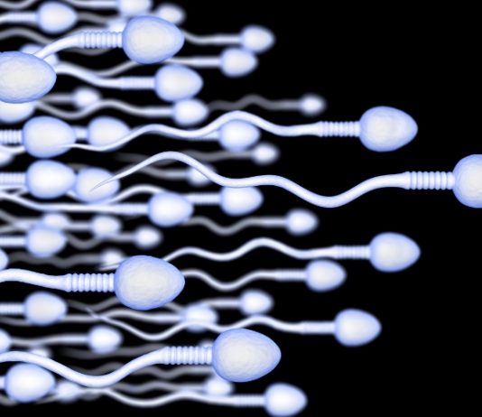 Secret for Better Sperm Count_ Unlocking the Keys to Male Fertility