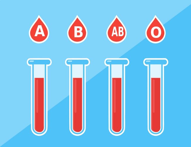 There are four main blood groups (types of blood) A, B, AB and O.